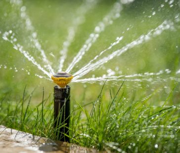 sprinkler-in-action-watering-grass-2025-04-02-11-39-30-utc (1)